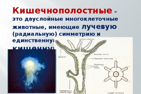 Как вывести деньги с кракена тор