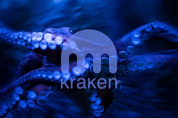 Kraken drugs